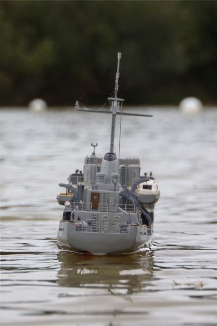 DSC01736 © Peter Taylor 2012