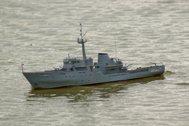 DSC08291 © Peter Taylor 2008