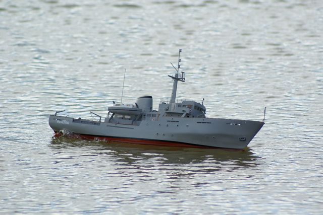 DSC08286 © Peter Taylor 2008