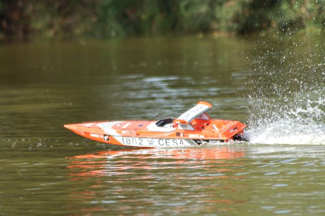 DSC00876 © Peter Taylor 2012