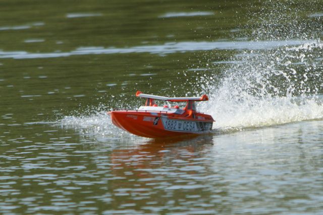 DSC00955 © Peter Taylor 2012