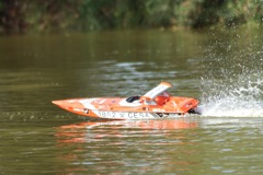 DSC00876 © Peter Taylor 2012