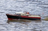 DSC05611 © Peter Taylor 2011