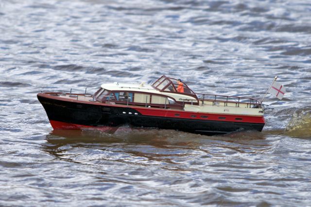 DSC05611 © Peter Taylor 2011