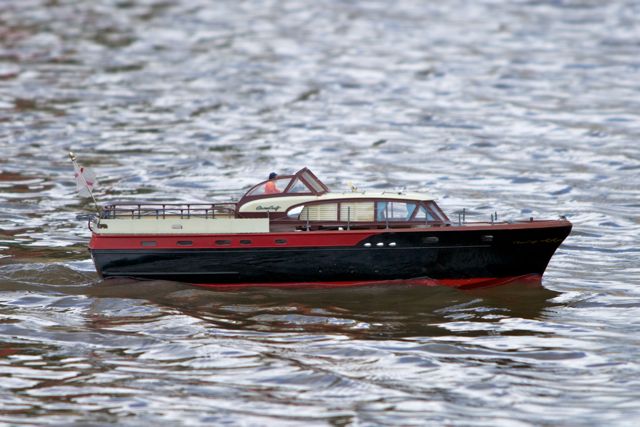 DSC05607 © Peter Taylor 2011