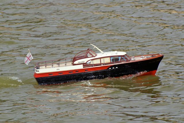 DSC00891 © Peter Taylor 2009
