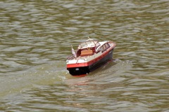 DSC00889 © Peter Taylor 2009