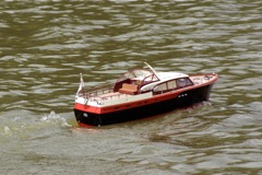 DSC00888 © Peter Taylor 2009