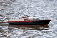 DSC05607 © Peter Taylor 2011
