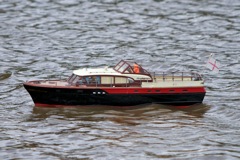 DSC05613 © Peter Taylor 2011