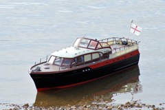 DSC01902 © Peter Taylor 2010