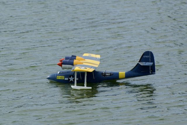 DSC02519 © Peter Taylor 2009