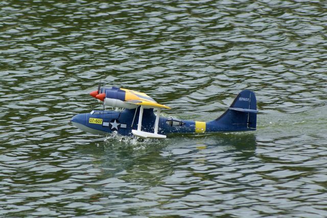 DSC02532 © Peter Taylor 2009