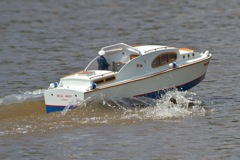 DSC05430 © Peter Taylor 2011