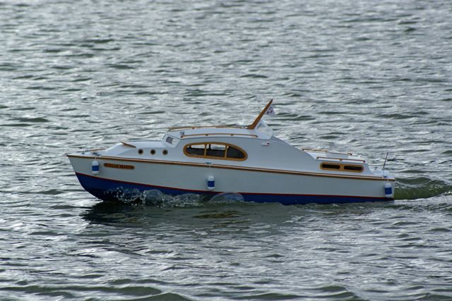DSC02356 © Peter Taylor 2009