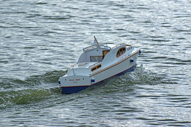 DSC02352 © Peter Taylor 2009