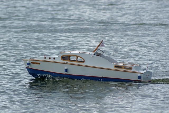 DSC02340 © Peter Taylor 2009