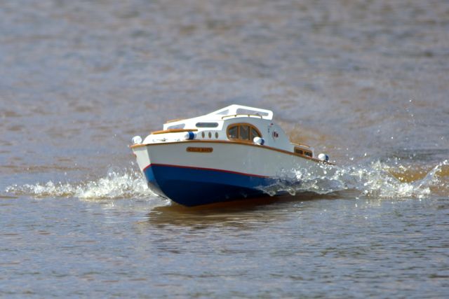 DSC05449 © Peter Taylor 2011