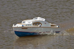 DSC05429 © Peter Taylor 2011