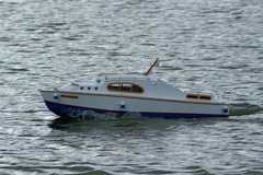 DSC02356 © Peter Taylor 2009