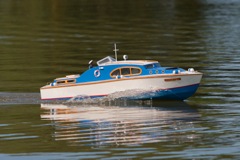 DSC01493 © Peter Taylor 2013