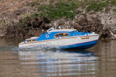 DSC01489 © Peter Taylor 2013
