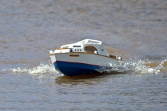 DSC05449 © Peter Taylor 2011