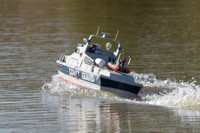 DSC09382 © Peter Taylor 2012