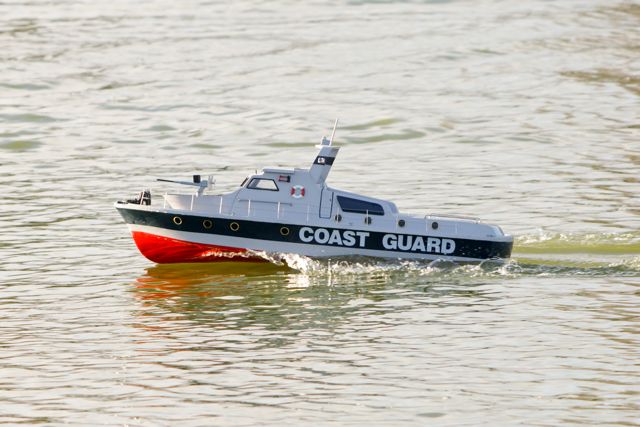 DSC08821 © Peter Taylor 2011