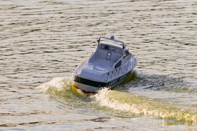 DSC08816 © Peter Taylor 2011