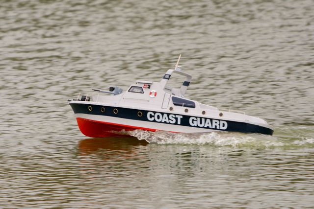 DSC08790 © Peter Taylor 2011