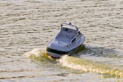 DSC08816 © Peter Taylor 2011