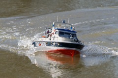 DSC09385 © Peter Taylor 2012