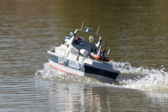 DSC09382 © Peter Taylor 2012