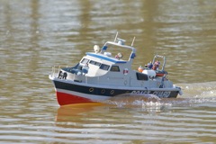 DSC09375 © Peter Taylor 2012