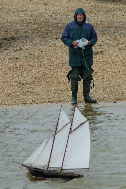 DSC02437 © Peter Taylor 2010