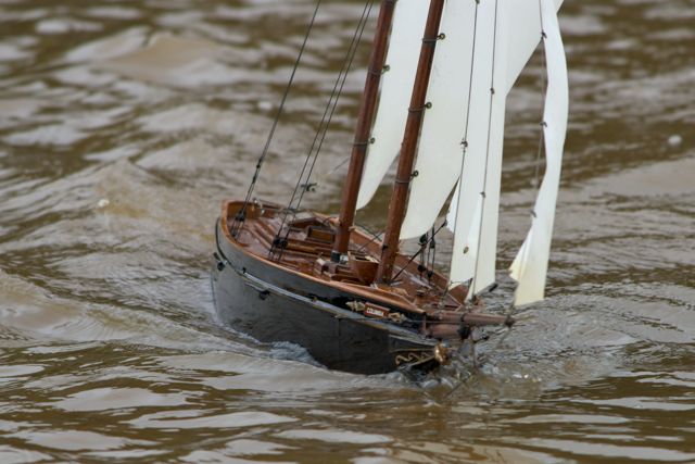 DSC05364 © Peter Taylor 2011