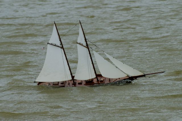 DSC02471 © Peter Taylor 2010