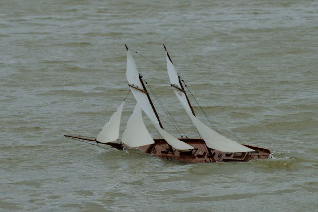 DSC02465 © Peter Taylor 2010
