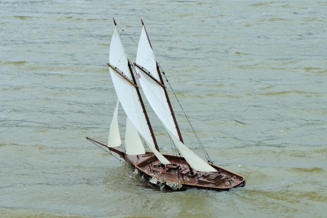 DSC02451 © Peter Taylor 2010