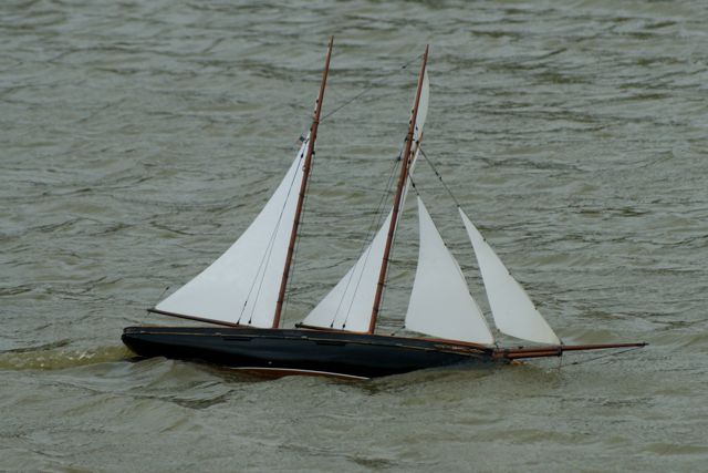 DSC02433 © Peter Taylor 2010
