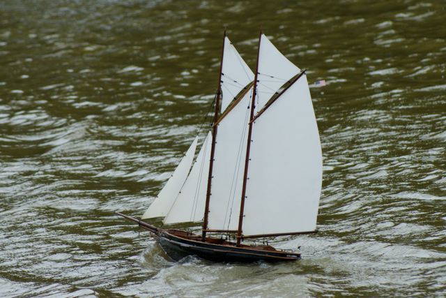 DSC02393 © Peter Taylor 2010