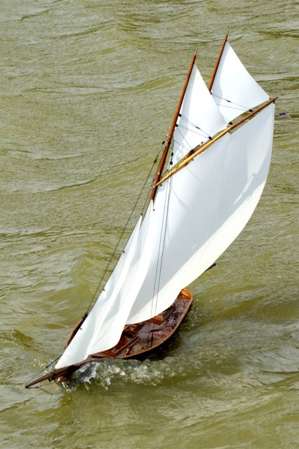 DSC03283 © Peter Taylor 2007