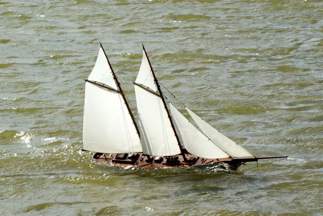 DSC03249 © Peter Taylor 2007