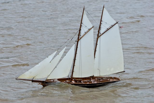 DSC05332 © Peter Taylor 2011