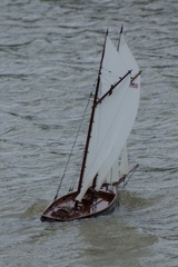 DSC02394 © Peter Taylor 2010