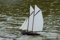 DSC02393 © Peter Taylor 2010