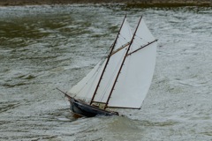 DSC02392 © Peter Taylor 2010