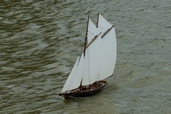 DSC02382 © Peter Taylor 2010