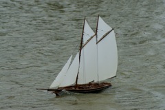 DSC02375 © Peter Taylor 2007